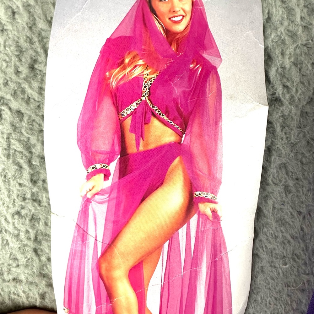 Arabian Princess  Dress Costume Womens One Size California Costume Collections